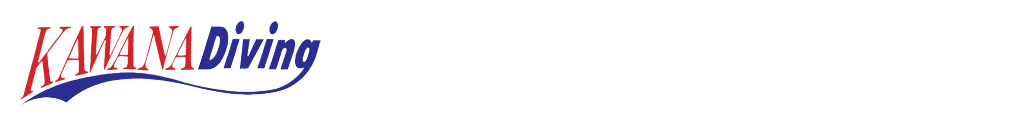 川奈ダイビングロゴPC版
